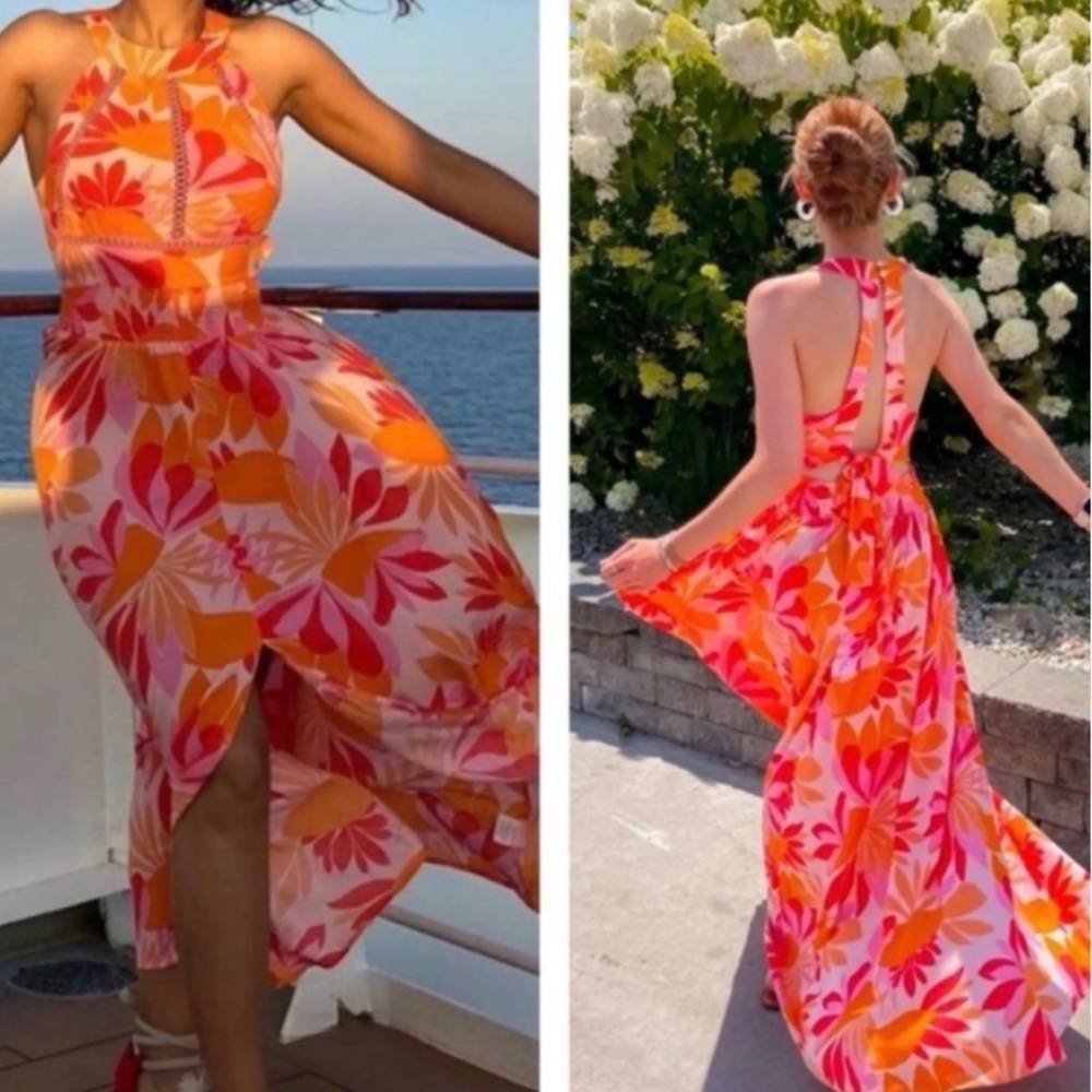 STUNNING Abel the Label Anthropologie Runi Floral Maxi Dress